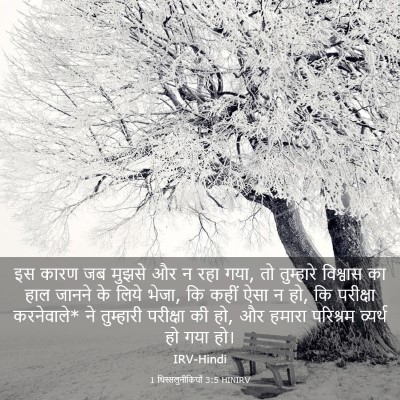 Picture 03 - 1 थिस्सलुनीकियों 3:5 HINIRV - इस कारण जब मुझसे और - Bible Verse Picture