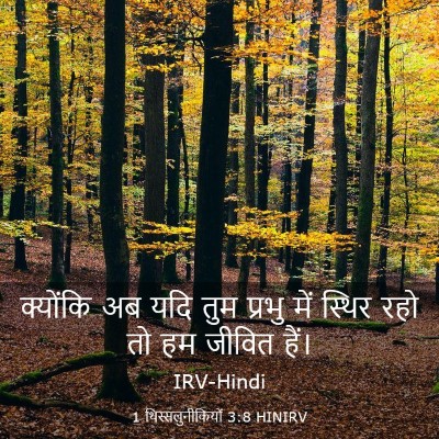 Picture 03 - 1 थिस्सलुनीकियों 3:8 HINIRV - क्योंकि अब यदि तुम - Bible Verse Picture