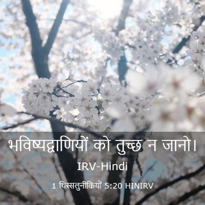 Picture 03 - 1 थिस्सलुनीकियों 5:20 HINIRV - भविष्यद्वाणियों - Bible Verse Picture