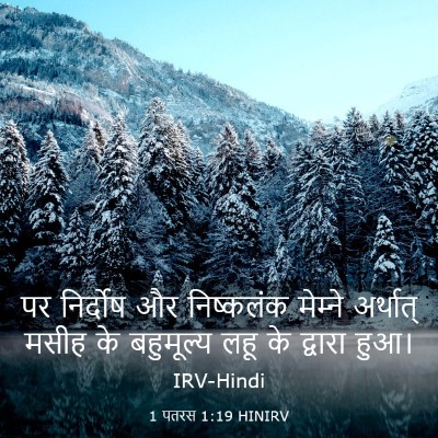 Picture 03 - 1 पतरस 1:19 HINIRV - पर निर्दोष और - Bible Verse Picture
