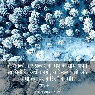 Picture 03 - 1 पतरस 2:18 HINIRV - हे सेवकों, हर - Bible Verse Picture