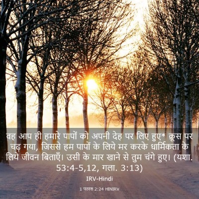 Picture 03 - 1 पतरस 2:24 HINIRV - वह आप ही हमारे - Bible Verse Picture