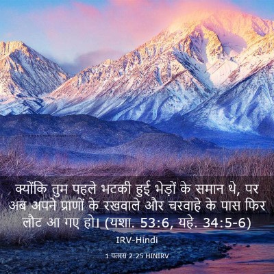 Picture 03 - 1 पतरस 2:25 HINIRV - क्योंकि तुम पहले - Bible Verse Picture
