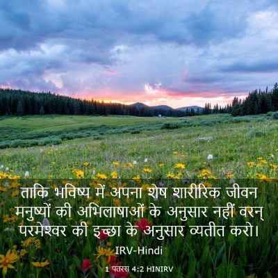 Picture 03 - 1 पतरस 4:2 HINIRV - ताकि भविष्य में - Bible Verse Picture