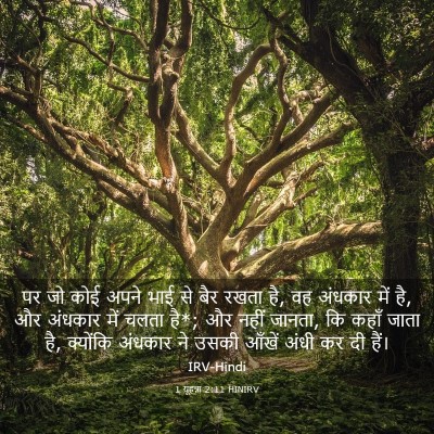 Picture 03 - 1 यूहन्ना 2:11 HINIRV - पर जो कोई अपने भाई - Bible Verse Picture