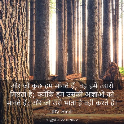 Picture 03 - 1 यूहन्ना 3:22 HINIRV - और जो कुछ हम माँगते - Bible Verse Picture