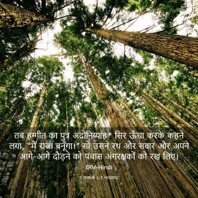 Picture 03 - 1 राजाओं 1:5 HINIRV - तब हग्गीत का पुत्र - Bible Verse Picture