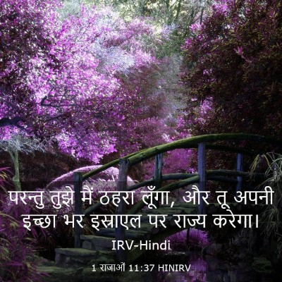 Picture 03 - 1 राजाओं 11:37 HINIRV - परन्तु तुझे मैं - Bible Verse Picture