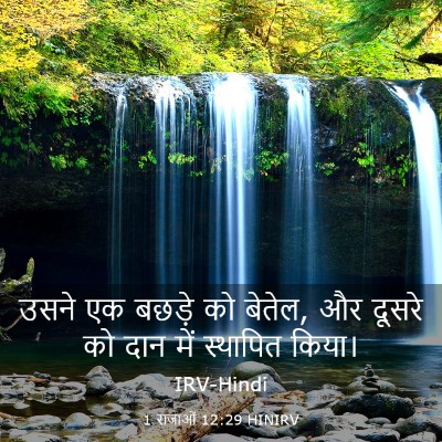 Picture 03 - 1 राजाओं 12:29 HINIRV - उसने एक बछड़े को - Bible Verse Picture