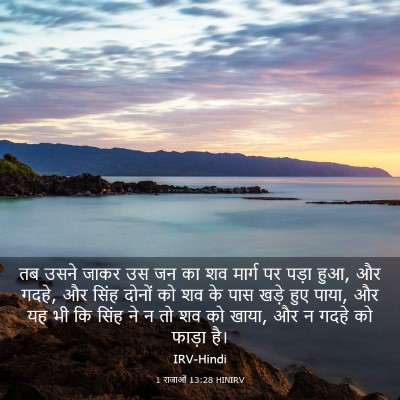 Picture 03 - 1 राजाओं 13:28 HINIRV - तब उसने जाकर उस जन - Bible Verse Picture