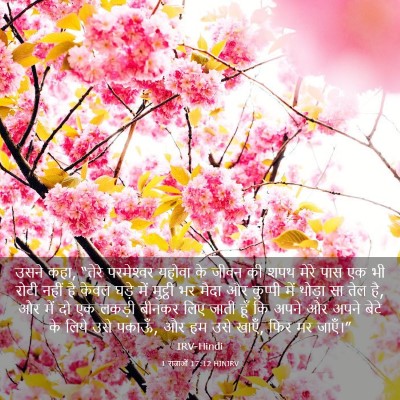 Picture 03 - 1 राजाओं 17:12 HINIRV - उसने कहा, “तेरे - Bible Verse Picture