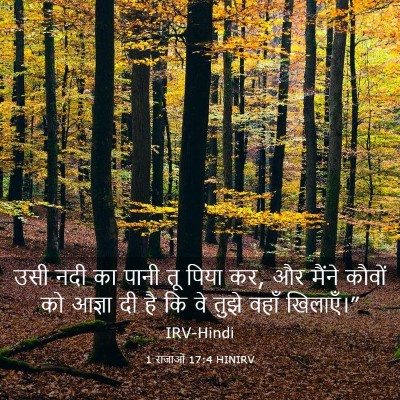 Picture 03 - 1 राजाओं 17:4 HINIRV - उसी नदी का पानी तू - Bible Verse Picture