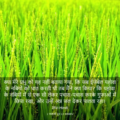 Picture 03 - 1 राजाओं 18:13 HINIRV - क्या मेरे प्रभु को - Bible Verse Picture