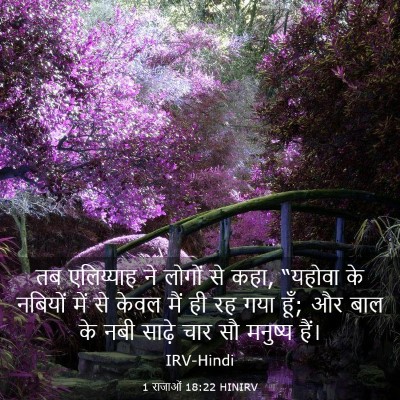 Picture 03 - 1 राजाओं 18:22 HINIRV - तब एलिय्याह ने - Bible Verse Picture