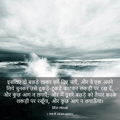 Picture 03 - 1 राजाओं 18:23 HINIRV - इसलिए दो बछड़े - Bible Verse Picture