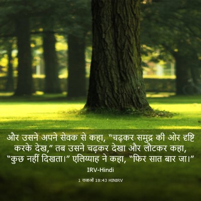 Picture 03 - 1 राजाओं 18:43 HINIRV - और उसने अपने सेवक - Bible Verse Picture