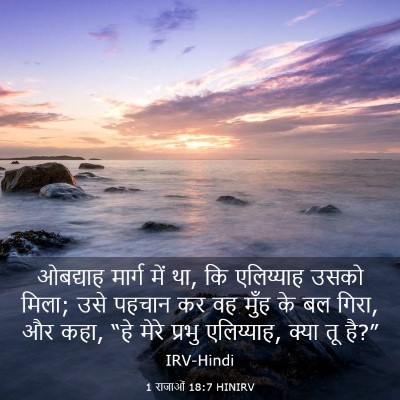 Picture 03 - 1 राजाओं 18:7 HINIRV - ओबद्याह मार्ग में - Bible Verse Picture