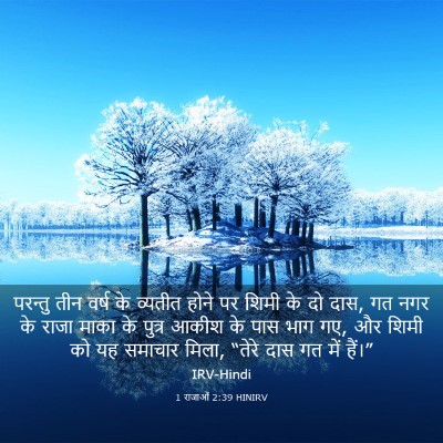 Picture 03 - 1 राजाओं 2:39 HINIRV - परन्तु तीन वर्ष के - Bible Verse Picture