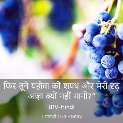 Picture 03 - 1 राजाओं 2:43 HINIRV - फिर तूने यहोवा की - Bible Verse Picture