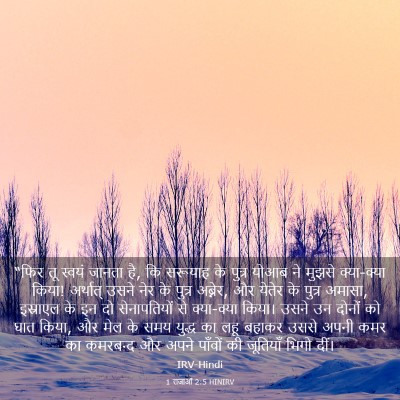 Picture 03 - 1 राजाओं 2:5 HINIRV - “फिर तू स्वयं - Bible Verse Picture