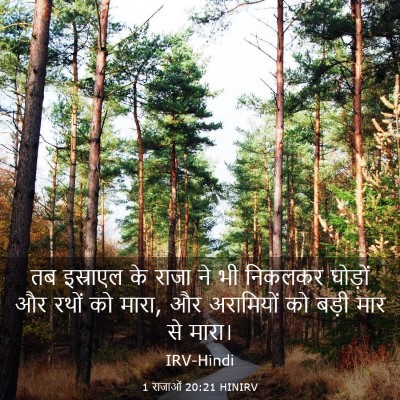 Picture 03 - 1 राजाओं 20:21 HINIRV - तब इस्राएल के राजा - Bible Verse Picture