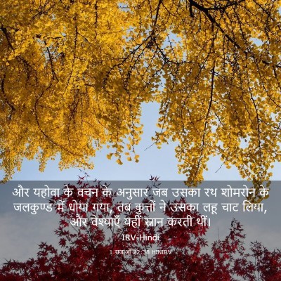 Picture 03 - 1 राजाओं 22:38 HINIRV - और यहोवा के वचन के - Bible Verse Picture