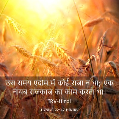 Picture 03 - 1 राजाओं 22:47 HINIRV - उस समय एदोम में कोई - Bible Verse Picture
