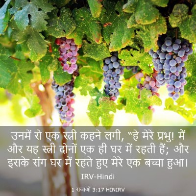 Picture 03 - 1 राजाओं 3:17 HINIRV - उनमें से एक स्त्री - Bible Verse Picture