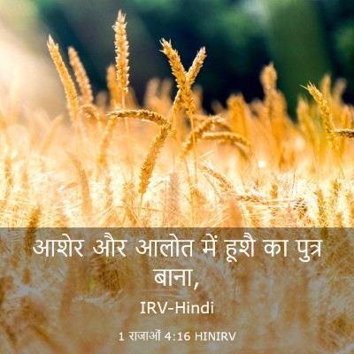 Picture 03 - 1 राजाओं 4:16 HINIRV - आशेर और आलोत में - Bible Verse Picture