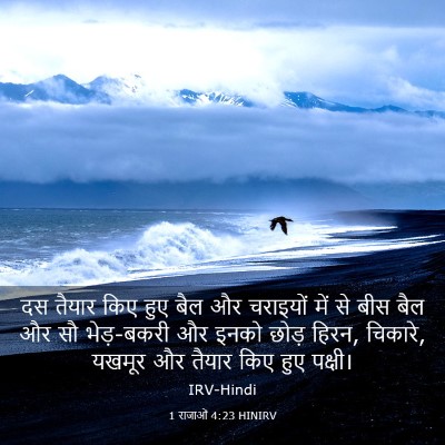 Picture 03 - 1 राजाओं 4:23 HINIRV - दस तैयार किए हुए - Bible Verse Picture