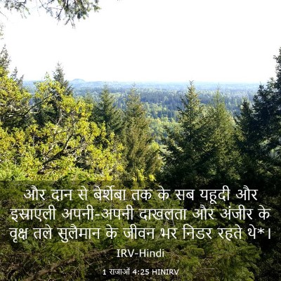 Picture 03 - 1 राजाओं 4:25 HINIRV - और दान से बेर्शेबा - Bible Verse Picture