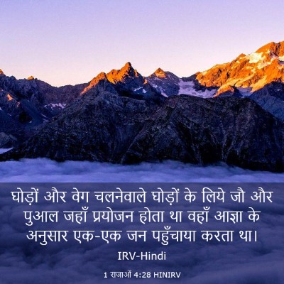 Picture 03 - 1 राजाओं 4:28 HINIRV - घोड़ों और वेग - Bible Verse Picture