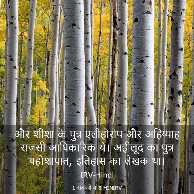 Picture 03 - 1 राजाओं 4:3 HINIRV - और शीशा के पुत्र - Bible Verse Picture