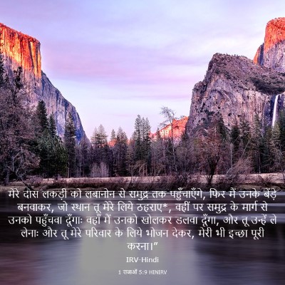 Picture 03 - 1 राजाओं 5:9 HINIRV - मेरे दास लकड़ी को - Bible Verse Picture