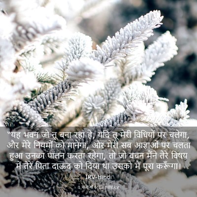 Picture 03 - 1 राजाओं 6:12 HINIRV - “यह भवन जो तू बना - Bible Verse Picture