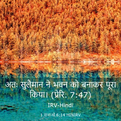 Picture 03 - 1 राजाओं 6:14 HINIRV - अतः सुलैमान ने भवन - Bible Verse Picture