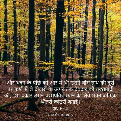 Picture 03 - 1 राजाओं 6:16 HINIRV - और भवन के पीछे की - Bible Verse Picture