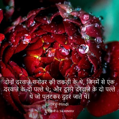Picture 03 - 1 राजाओं 6:34 HINIRV - दोनों दरवाज़े - Bible Verse Picture