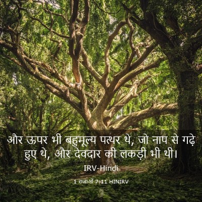 Picture 03 - 1 राजाओं 7:11 HINIRV - और ऊपर भी बहुमूल्य - Bible Verse Picture