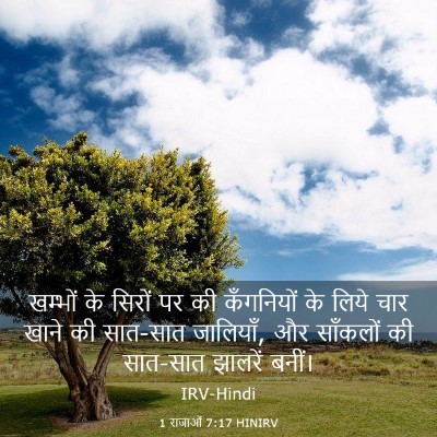 Picture 03 - 1 राजाओं 7:17 HINIRV - खम्भों के सिरों पर - Bible Verse Picture