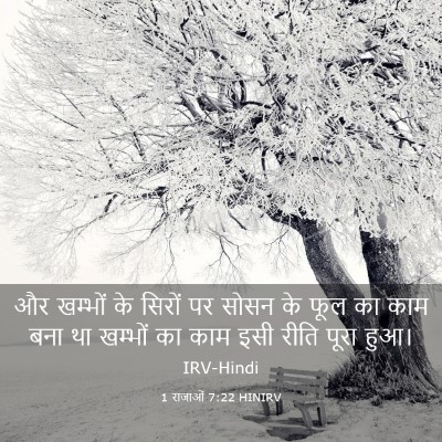 Picture 03 - 1 राजाओं 7:22 HINIRV - और खम्भों के सिरों - Bible Verse Picture