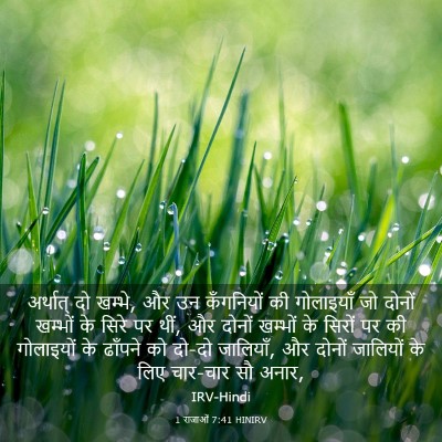 Picture 03 - 1 राजाओं 7:41 HINIRV - अर्थात् दो खम्भे, - Bible Verse Picture
