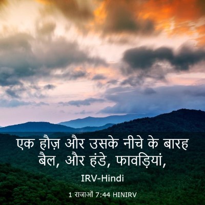 Picture 03 - 1 राजाओं 7:44 HINIRV - एक हौज़ और उसके - Bible Verse Picture
