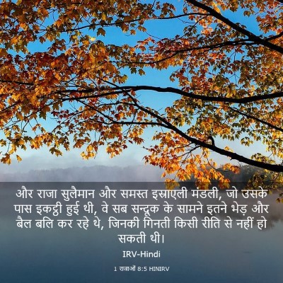 Picture 03 - 1 राजाओं 8:5 HINIRV - और राजा सुलैमान और - Bible Verse Picture