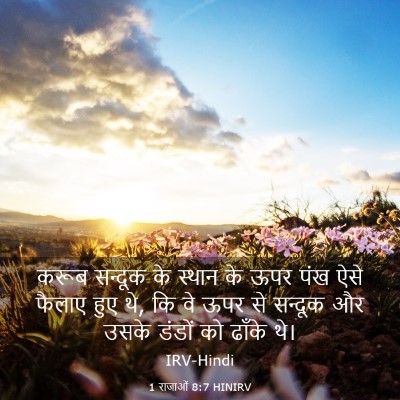 Picture 03 - 1 राजाओं 8:7 HINIRV - करूब सन्दूक के - Bible Verse Picture