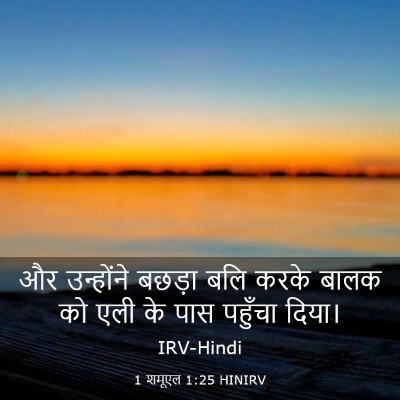 Picture 03 - 1 शमूएल 1:25 HINIRV - और उन्होंने बछड़ा - Bible Verse Picture