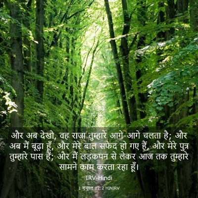 Picture 03 - 1 शमूएल 12:2 HINIRV - और अब देखो, वह राजा - Bible Verse Picture