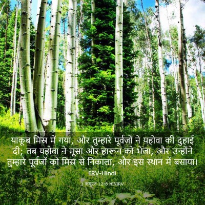 Picture 03 - 1 शमूएल 12:8 HINIRV - याकूब मिस्र में - Bible Verse Picture