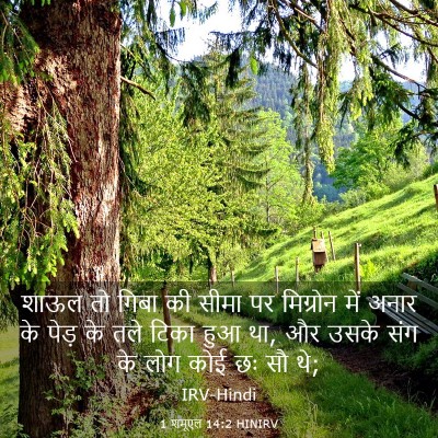 Picture 03 - 1 शमूएल 14:2 HINIRV - शाऊल तो गिबा की - Bible Verse Picture