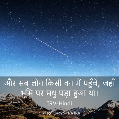 Picture 03 - 1 शमूएल 14:25 HINIRV - और सब लोग किसी वन - Bible Verse Picture